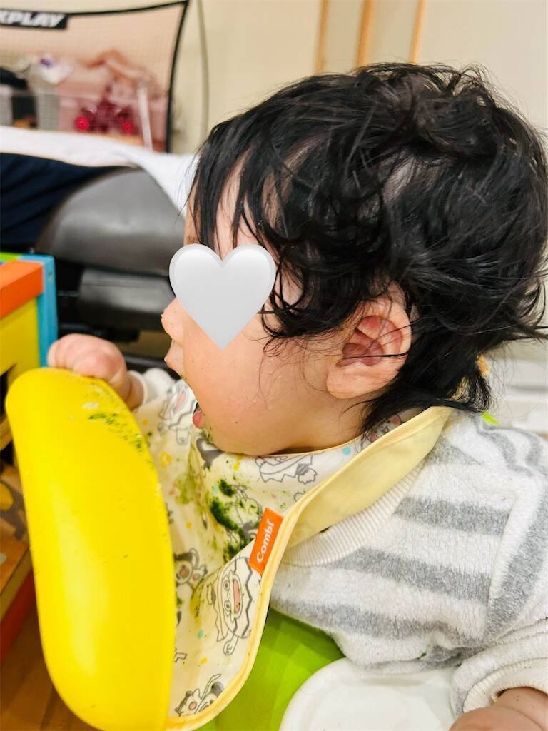 f:id:parunatsuta:20240426121824j:image