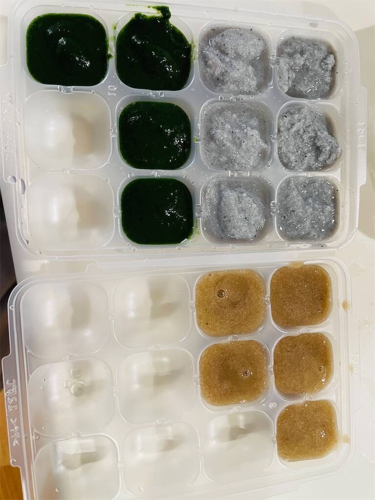 f:id:parunatsuta:20240426122722j:image