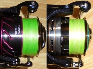 紅牙 2508PE-H - Triple Multiple - ぱるぷ日記(仮)