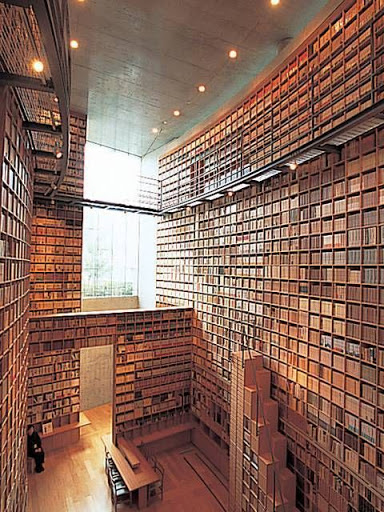 f:id:pas_toute:20210208185358j:plain