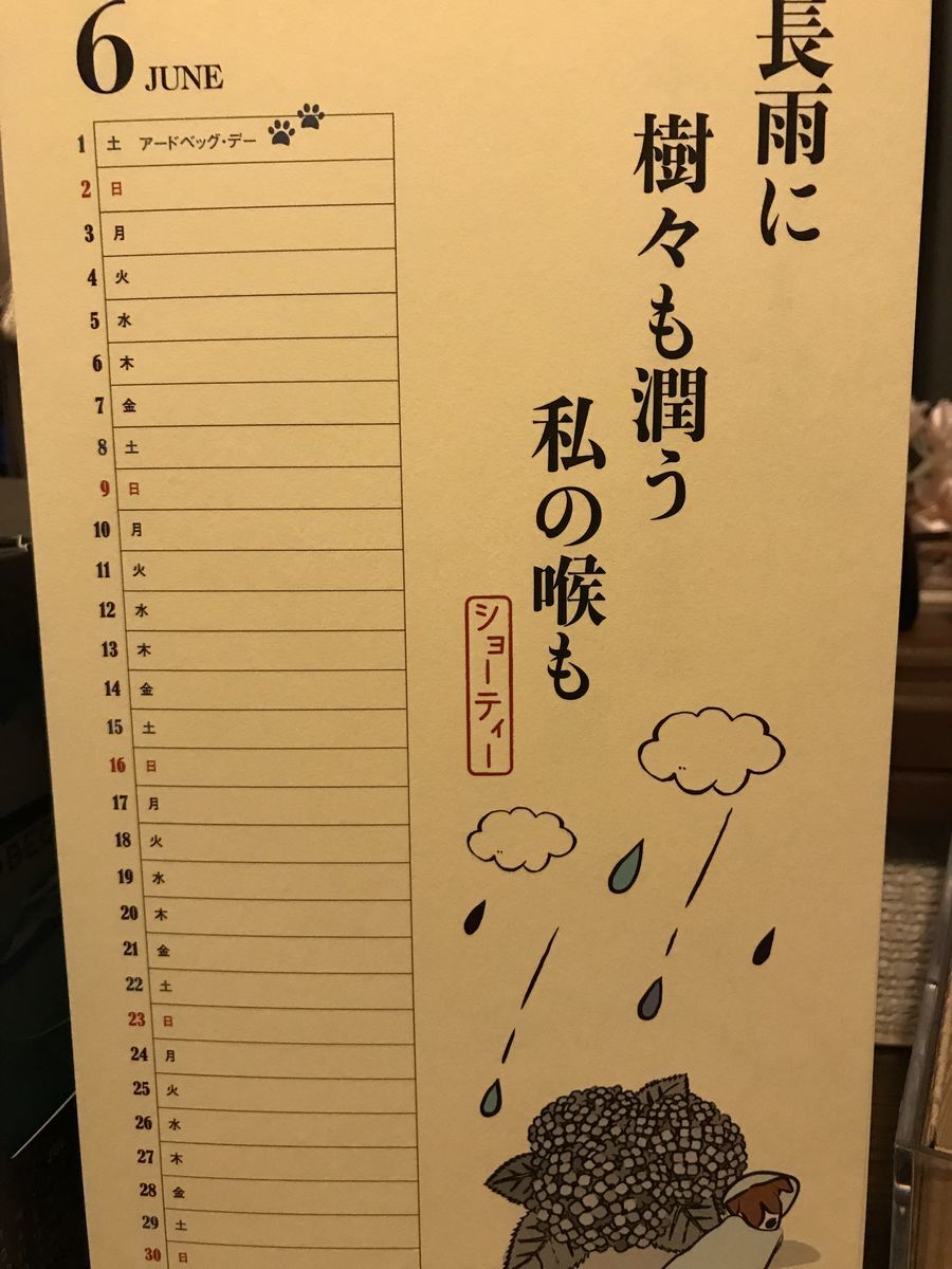 f:id:pasapasadayo:20190601213611j:plain f:id:pasapasadayo:20190601213611j:plain