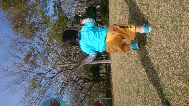 f:id:pasapasatamago:20180403150847j:image f:id:pasapasatamago:20180403150847j:image
