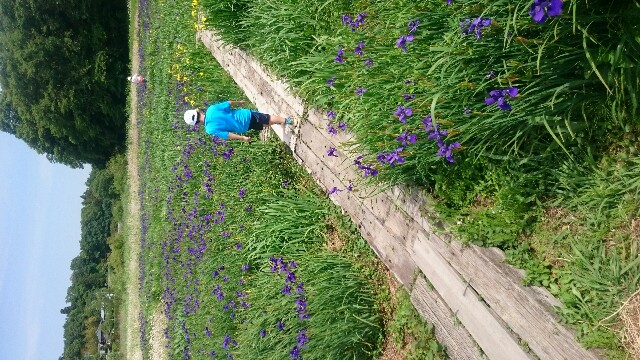 f:id:pasapasatamago:20180506230907j:image