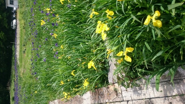 f:id:pasapasatamago:20180506231209j:image