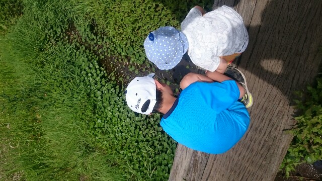 f:id:pasapasatamago:20180506231432j:image