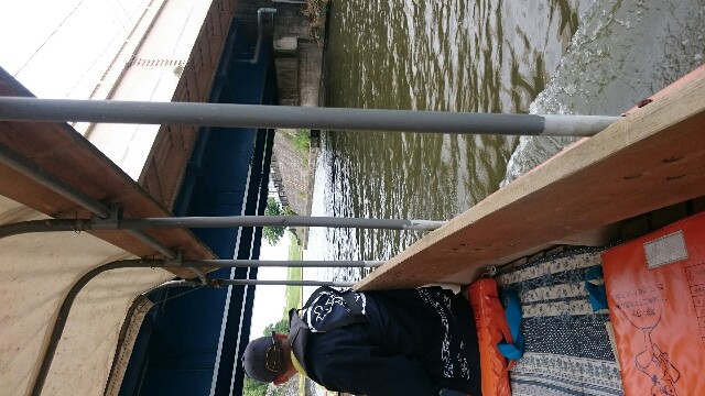 f:id:pasapasatamago:20180520074307j:image