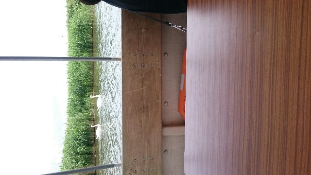 f:id:pasapasatamago:20180520075051j:image