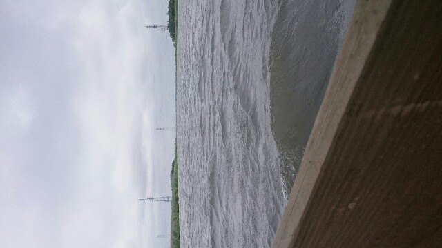 f:id:pasapasatamago:20180520075431j:image