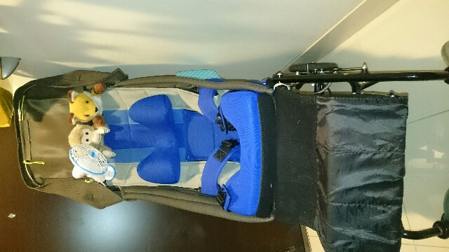 f:id:pasapasatamago:20180529091029j:image