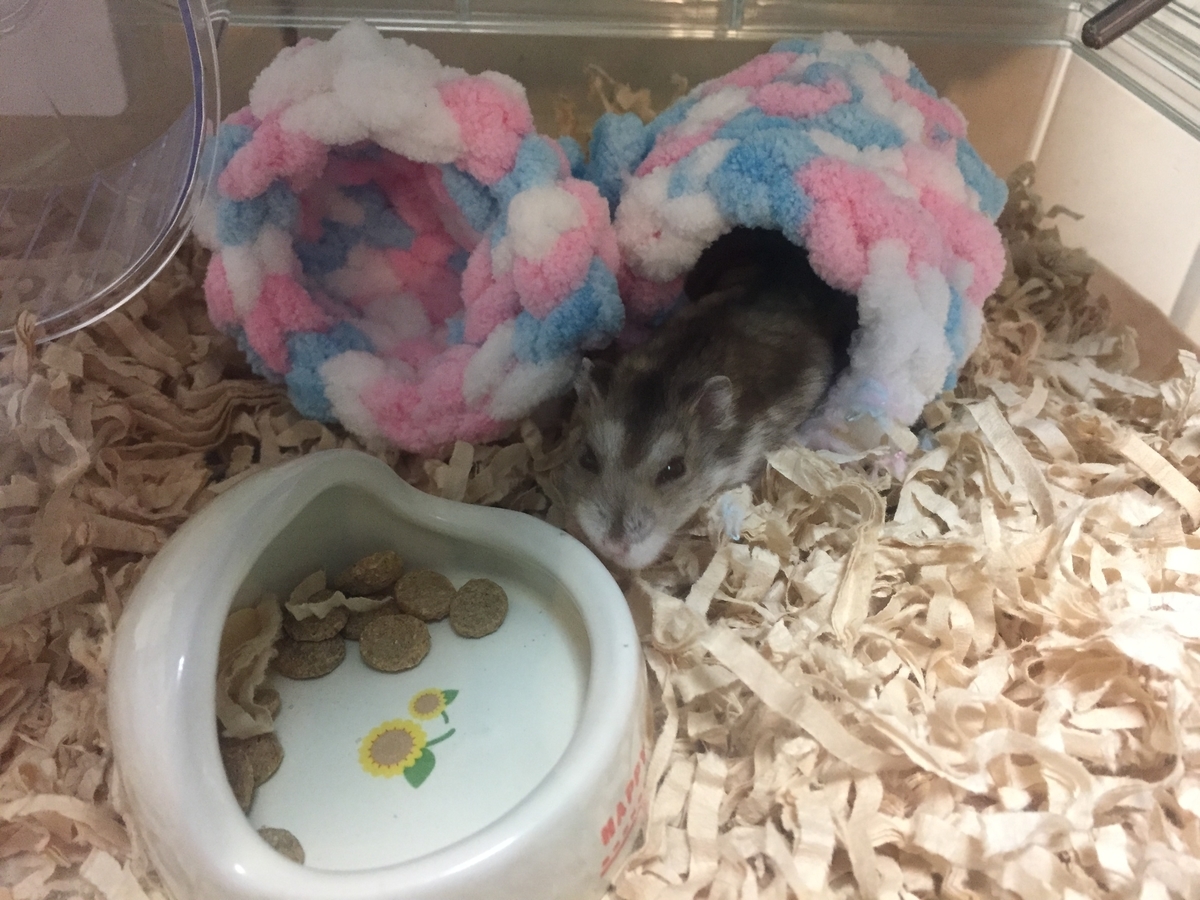 f:id:pascal_hamster:20191027155038j:plain f:id:pascal_hamster:20191027155038j:plain