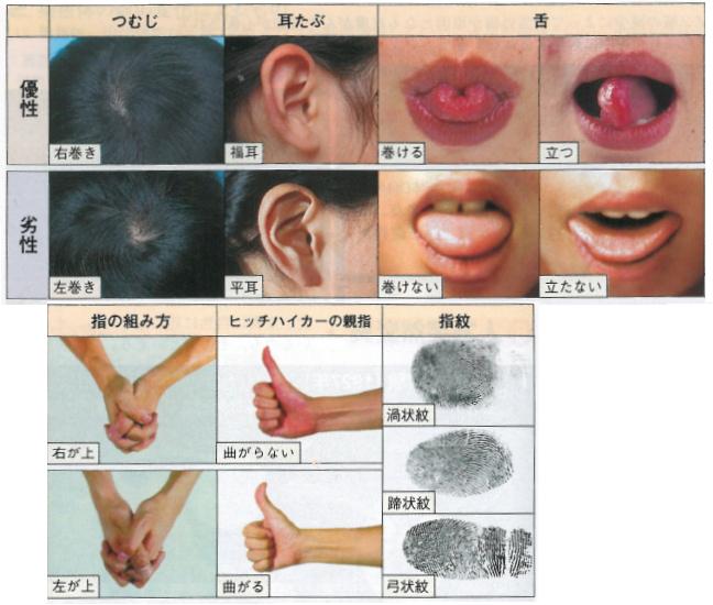 遺伝の話 - Paskel’s blog