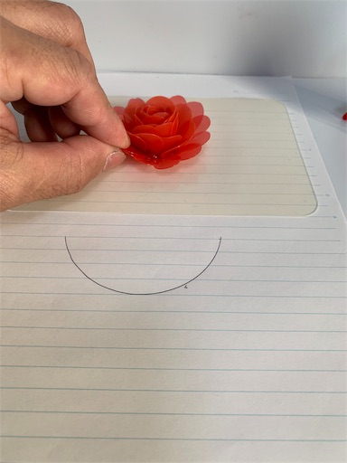 f:id:paseripaseri:20190727120116j:image f:id:paseripaseri:20190727120116j:image