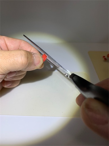 f:id:paseripaseri:20190730221943j:image f:id:paseripaseri:20190730221943j:image