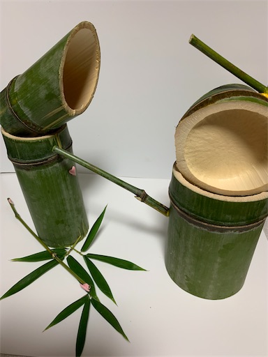 f:id:paseripaseri:20191104192625j:image f:id:paseripaseri:20191104192625j:image