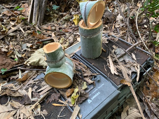 f:id:paseripaseri:20191214182503j:image f:id:paseripaseri:20191214182503j:image