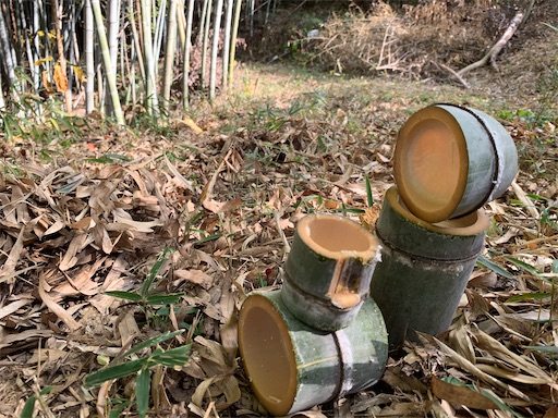 f:id:paseripaseri:20191214185116j:image f:id:paseripaseri:20191214185116j:image