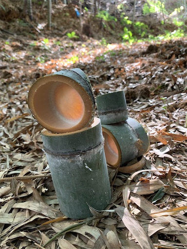 f:id:paseripaseri:20191214190144j:image f:id:paseripaseri:20191214190144j:image