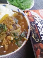 f:id:paseyo:20080301131624j:image:right