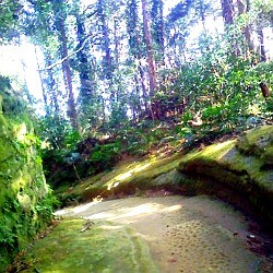 f:id:paseyo:20090216134720j:image