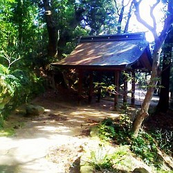 f:id:paseyo:20090216134721j:image