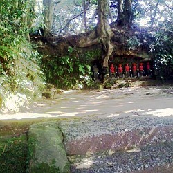 f:id:paseyo:20090216134724j:image