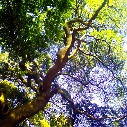 f:id:paseyo:20090216134727j:image