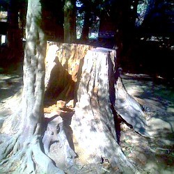 f:id:paseyo:20090216134728j:image