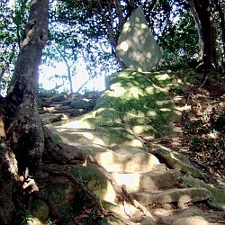f:id:paseyo:20090216134730j:image