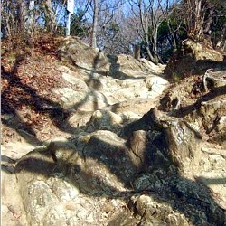 f:id:paseyo:20090216134731j:image
