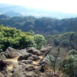f:id:paseyo:20090216134733j:image