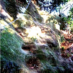f:id:paseyo:20090216134734j:image