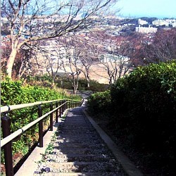 f:id:paseyo:20090216134739j:image