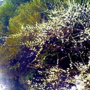 f:id:paseyo:20090216135659j:image