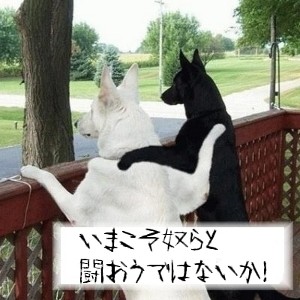 f:id:paseyo:20090227221234j:image