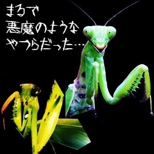 f:id:paseyo:20090227221235j:image