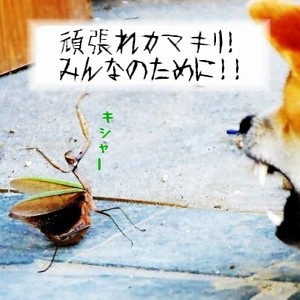 f:id:paseyo:20090227221236j:image