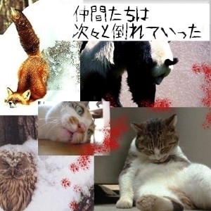 f:id:paseyo:20090227221237j:image