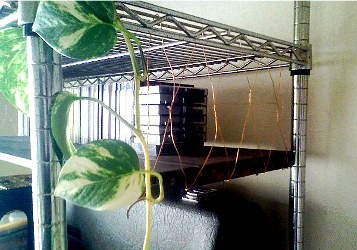 f:id:paseyo:20090721215207j:image f:id:paseyo:20090721215207j:image