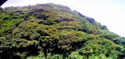 f:id:paseyo:20090802194101j:image