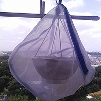 f:id:paseyo:20090813114051j:image:left f:id:paseyo:20090813114051j:image:left