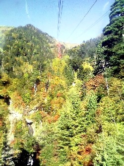 f:id:paseyo:20091012210624j:image