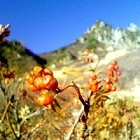 f:id:paseyo:20091012210630j:image