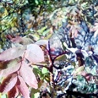 f:id:paseyo:20091012210631j:image
