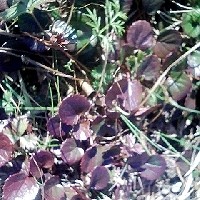 f:id:paseyo:20091012210632j:image
