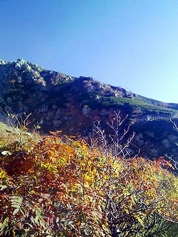 f:id:paseyo:20091012210637j:image