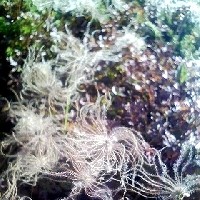 f:id:paseyo:20091012210638j:image