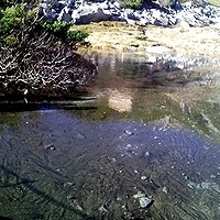 f:id:paseyo:20091012210642j:image