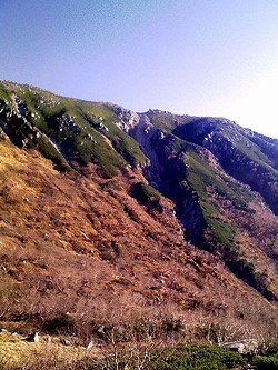 f:id:paseyo:20091012210643j:image