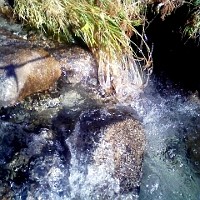 f:id:paseyo:20091012210647j:image