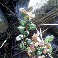 f:id:paseyo:20091012210653j:image